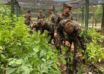 Polícia Ambiental e Exército promovem capacitação conjunta em prol da preservação ambiental