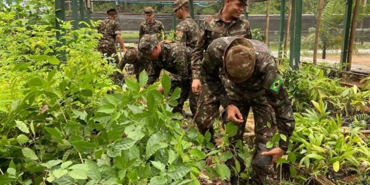Polícia Ambiental e Exército promovem capacitação conjunta em prol da preservação ambiental