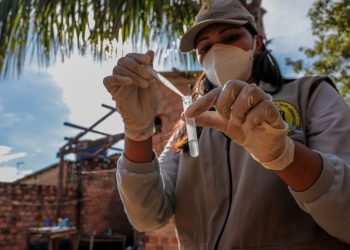 Porto Velho intensifica combate ao Aedes aegypti com nova edição do LIRAa