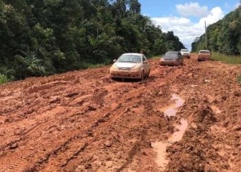 MPF solicita suspensão de licenciamento das obras na BR-319