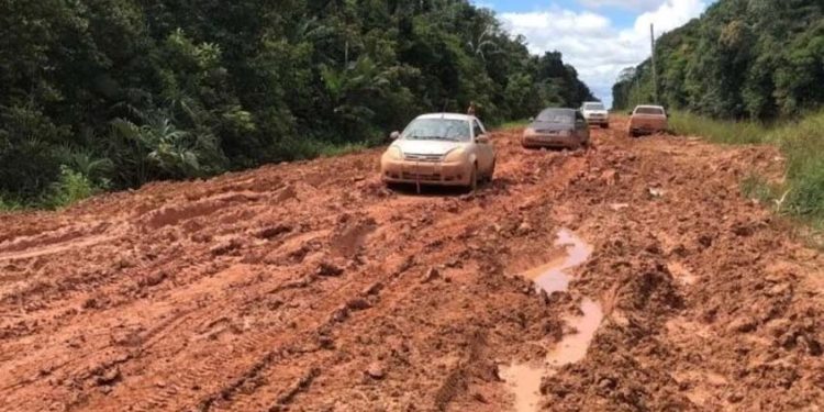 MPF solicita suspensão de licenciamento das obras na BR-319