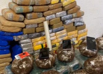 PM apreende 140 tabletes de drogas e gera prejuízo milionário ao tráfico em Porto Velho