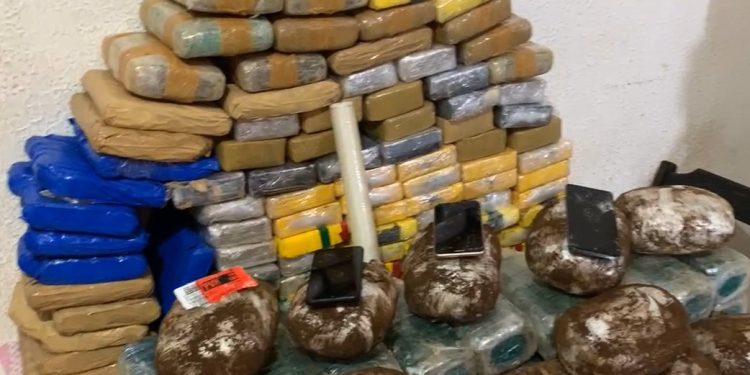 PM apreende 140 tabletes de drogas e gera prejuízo milionário ao tráfico em Porto Velho