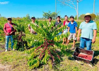 Governo de Rondônia abre inscrições para programa de compra de alimentos produzidos por indígenas