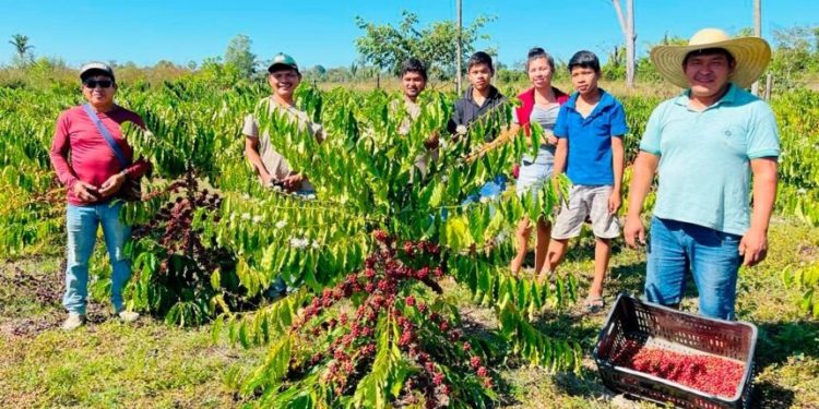 Governo de Rondônia abre inscrições para programa de compra de alimentos produzidos por indígenas
