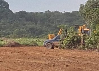 Autorização de desmatamento para aterro sanitário em Porto Velho gera controvérsias