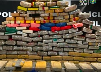 Polícia Civil apreende quase 300 kg de drogas e prende dois suspeitos em Guajará-Mirim