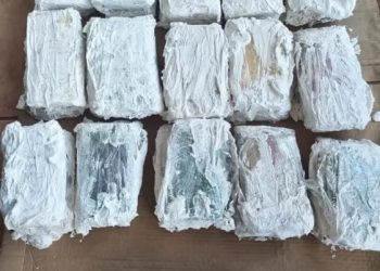 Polícia Civil realiza significativa apreensão de entorpecentes em Guajará-Mirim