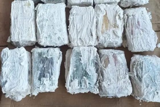 Polícia Civil realiza significativa apreensão de entorpecentes em Guajará-Mirim