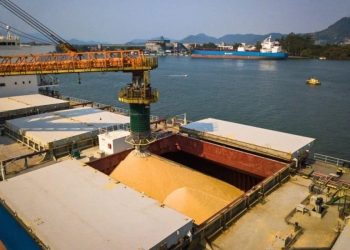 China suspende exportações de soja de cinco empresas brasileiras devido a inconformidades