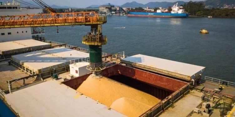 China suspende exportações de soja de cinco empresas brasileiras devido a inconformidades