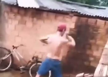 Cãozinho da raça Pastor Alemão é resgatado em Ariquemes após caso de maus-tratos e furto