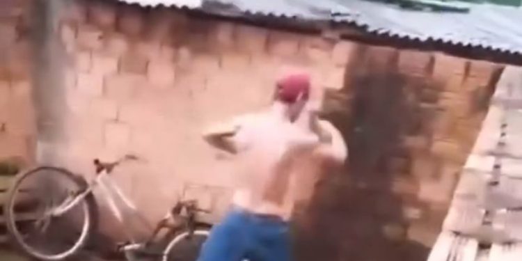 Cãozinho da raça Pastor Alemão é resgatado em Ariquemes após caso de maus-tratos e furto