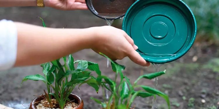 Governo de Rondônia reforça alerta sobre cuidados para prevenir a dengue