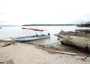 Defesa Civil alerta sobre risco de colisões com troncos no rio Madeira