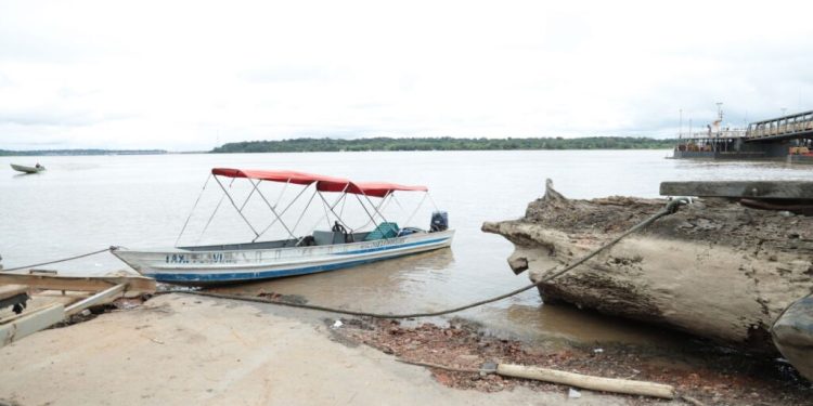 Defesa Civil alerta sobre risco de colisões com troncos no rio Madeira