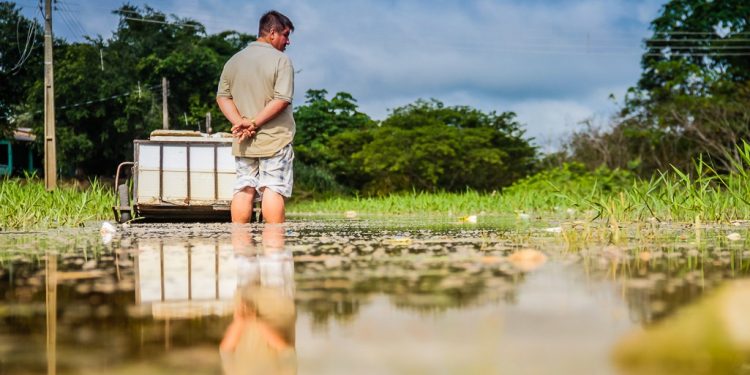 LEPTOSPIROSE: Governo de RO alerta população sobre riscos da doença em períodos chuvosos