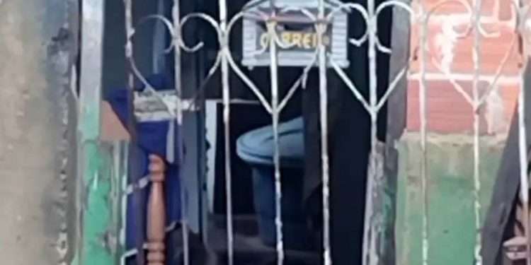 Execução brutal em Presidente Médici deixa três mortos