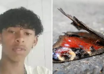 Adolescente morre após injetar mistura com borboleta morta na veia