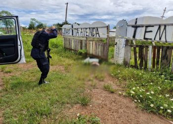 Homem é assassinado a pauladas na zona Leste de Porto Velho