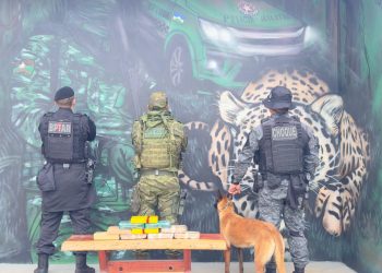 Polícia apreende 10 kg de cocaína e prende dois suspeitos em operação na fronteira