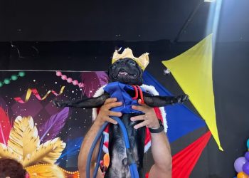 Evento solidário reúne cães e gatos em desfile de carnaval em Vilhena
