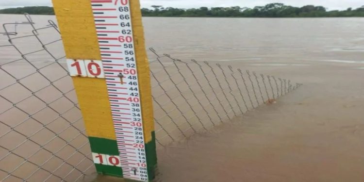Rio Mamoré atinge cota de alerta e Defesa Civil intensifica monitoramento