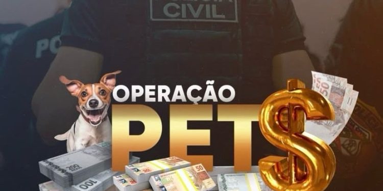 Polícia Civil deflagra operação contra fraude em contrato de atendimento a animais de rua