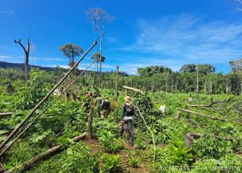 Fiscalização ambiental encontra indícios de invasão em área protegida de Rondônia