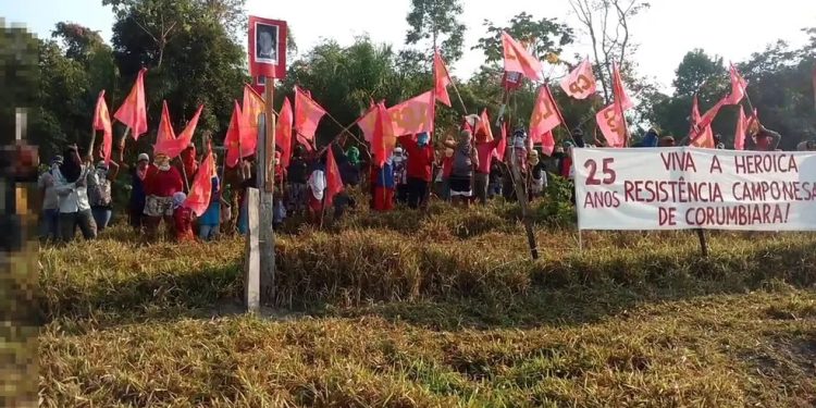 Advogada e membros de grupo são condenados por invasões de terras em Rondônia