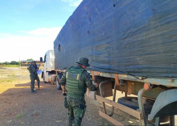 Polícia Ambiental apreende carga de madeira transportada de forma irregular em Vilhena
