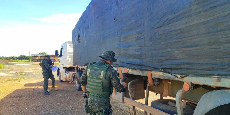 Polícia Ambiental apreende carga de madeira transportada de forma irregular em Vilhena