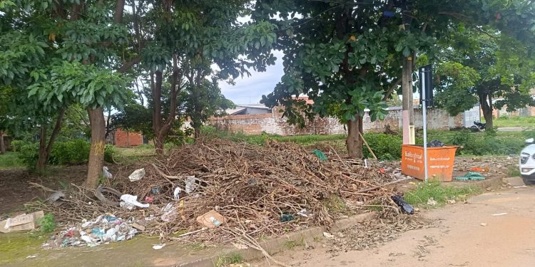 Acúmulo de lixo e presença de moradores de rua preocupam população na zona Norte da capital