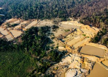Garimpo ilegal se desloca entre Terras Indígenas e continua avançando na Amazônia, revela relatório