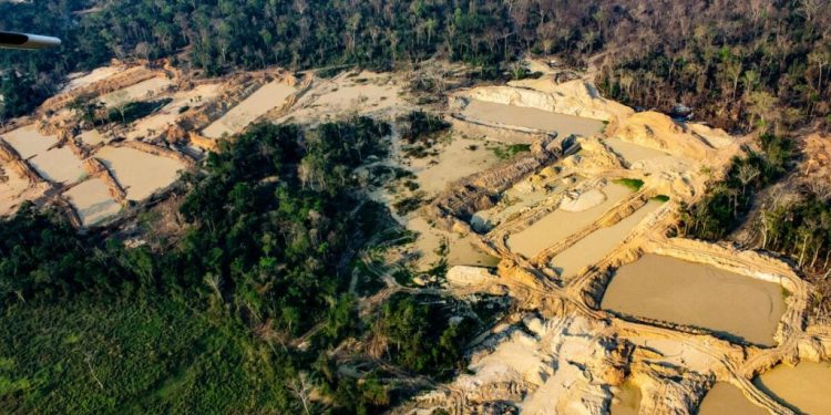 Garimpo ilegal se desloca entre Terras Indígenas e continua avançando na Amazônia, revela relatório