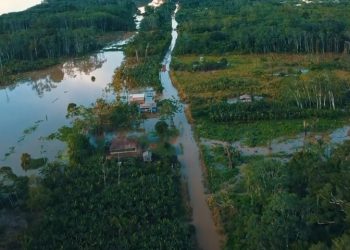 Cheia do Rio Madeira interrompe acesso terrestre ao distrito de São Carlos