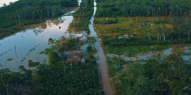 Cheia do Rio Madeira interrompe acesso terrestre ao distrito de São Carlos