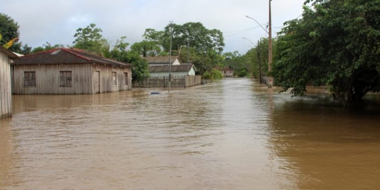 Cheia do rio Madeira afeta distrito de Nazaré e reforça necessidade de realocação de famílias