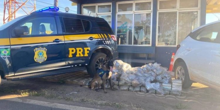 Servidor de Rondônia é detido com carga de skunk durante fiscalização na BR-364 em Mato Grosso