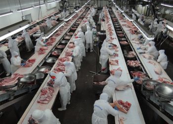 Frigoríficos auditados na Amazônia apresentam apenas 4% de irregularidades, aponta MPF