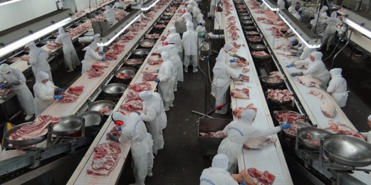 Frigoríficos auditados na Amazônia apresentam apenas 4% de irregularidades, aponta MPF