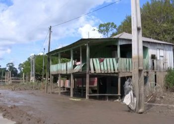 Cheia do rio Madeira provoca prejuízos e afeta milhares de famílias ribeirinhas em Porto Velho