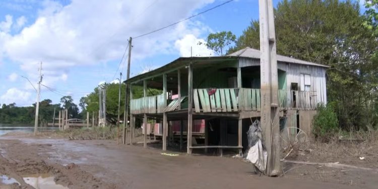 Cheia do rio Madeira provoca prejuízos e afeta milhares de famílias ribeirinhas em Porto Velho