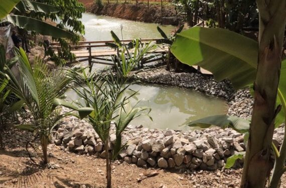 Emater-RO prepara espaço com vitrines tecnológicas para a Rondônia Rural Show Internacional