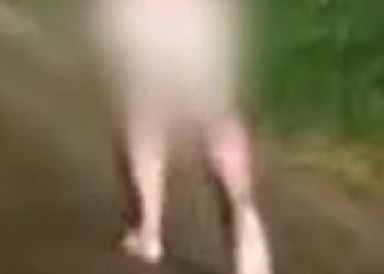 Mulher é localizada sem roupas e em estado de confusão às margens da BR-364 em Ji-Paraná