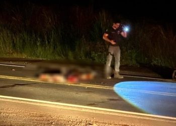 Pedestre perde a vida após ser atingido por duas carretas na BR-364