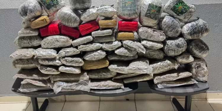 Droga é abandonada em fuga na BR-364