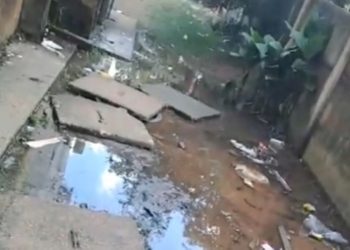 Cano estourado há meses causa desperdício de água no Porto Madero 2