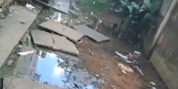 Cano estourado há meses causa desperdício de água no Porto Madero 2