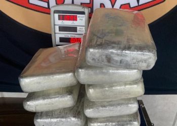 Casal é preso com 24 kg de skunk no aeroporto